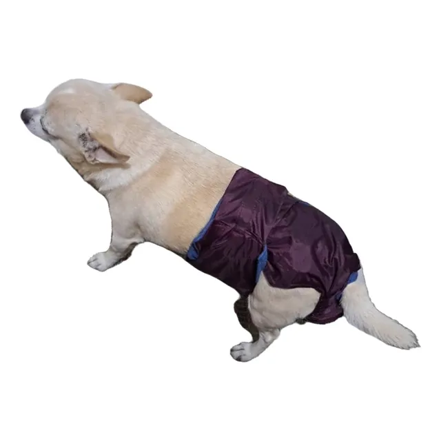 Pañales Tipo Panty Impermeables Para Mascotas - 1 Unidad