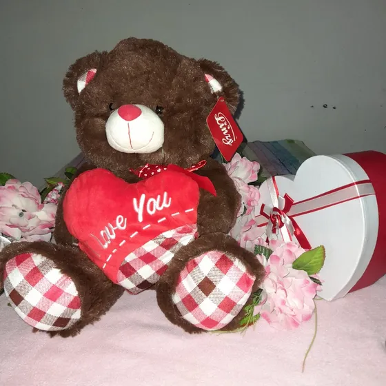 Oso Peluche Importado Hipoalergénico  Con Corazon Cojin Rojo
