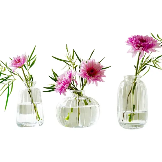 Set X3 Mini Florero Cristal Decorativo Diferentes - Qr!