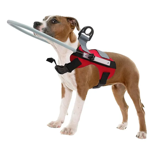 Anillo Anticolisión Guía Para Perros Ciegos Para 11 A 18 Kg