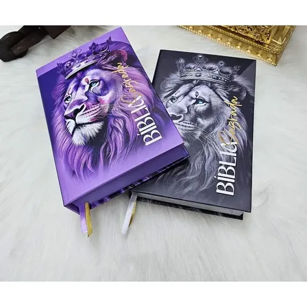 Kit 2 Bíblias Sagrada Feminina Masculina Evangélica Letra Média Harpa Cristã Capa Dura Leão Índice Palavras De Jesus Vermelho Flores Rosa João Ferreira Almeida Revista Corrigida Branca Jovem Promessas