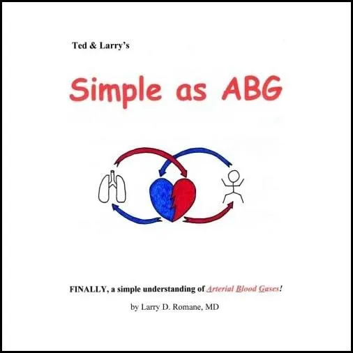 Libro: Tan Simple Como Una Bolsa