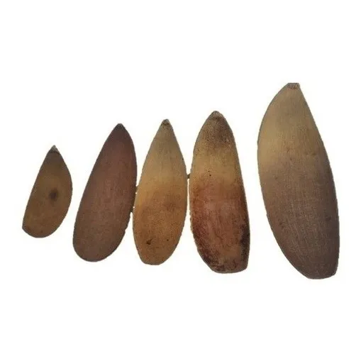 Juego De Paletas Totuma Artesania Zuliana Tapara. Tmvref15