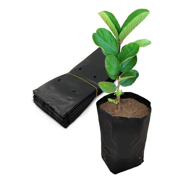 Bolsas Para Vivero, Para Sembrar Medidas Varias 