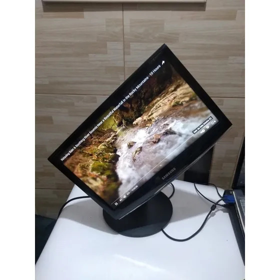 Monitor Samsung 19 Polegadas Entrada Vga Pedestal Giratório!