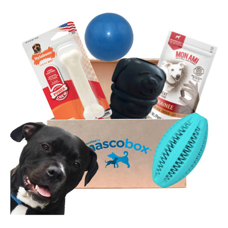 Mascobox Kit Mordelon Juguete Pelota Super Resistent Pitbull Mascobox Kit Mordelon Juguete Pelota Super Resistent Pitbull