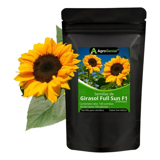 Semillas De Girasol Hibrido Flor Var Full Sun (100 Semillas)