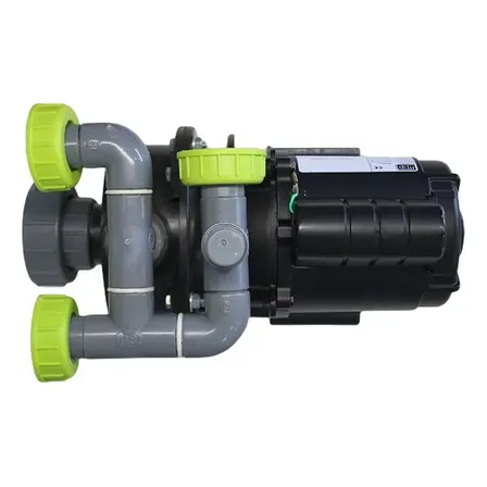 Bomba Completa P/ Piscina Igui 1/2 Cv Eco System 127/220v
