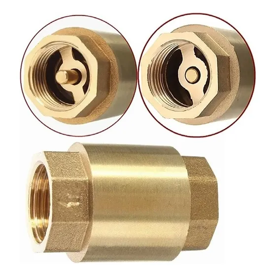 Valvula Check 2½ PuLG ( 75 Mm ) Asiento Bronce Nueva