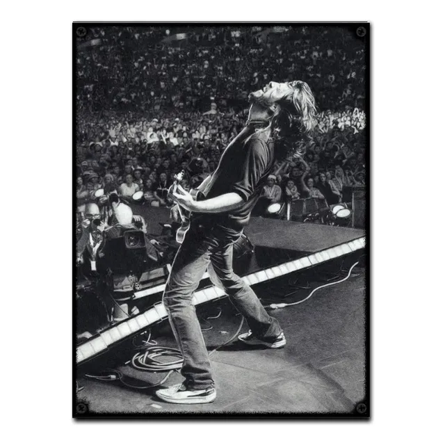#749 - Cuadro Vintage Dave Grohl Foo Fighters Rock No Chapa