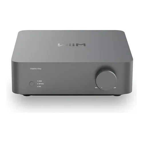 Power Amplifier Wiim Vibelink Amp 100w W/ Ess 9039q2m Dac