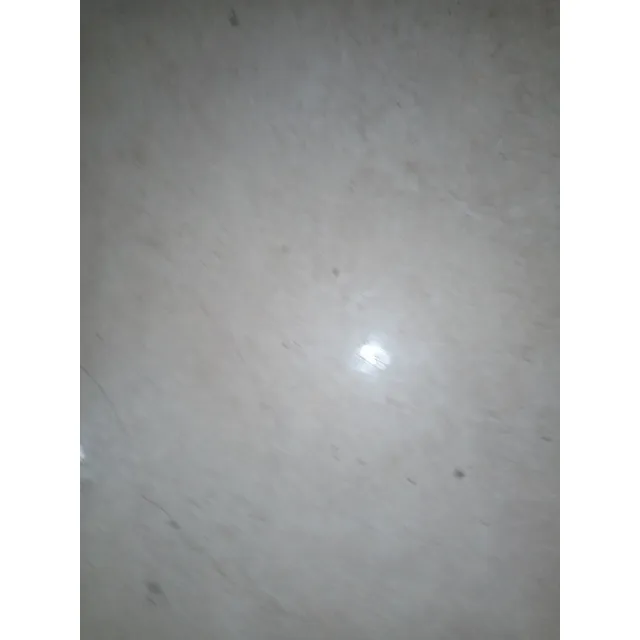 Tapa Centro Rin Spacefox, Lupo Original Usado