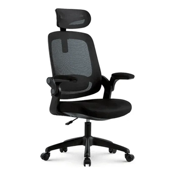 Cadeira De Escritorio Ergonômica Preta Elements Astra
