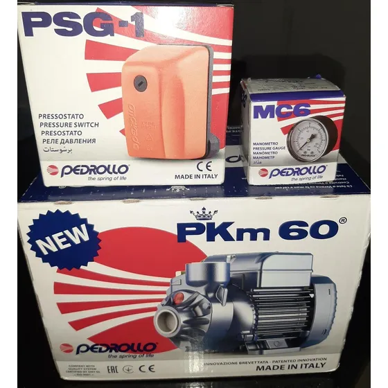 Bomba Pedrollo De 1/2 Hp Con Presostato Y Manometro