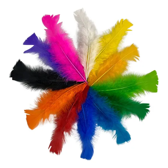 Pena colorida 60 unidades Plumas e Penas Fantasias