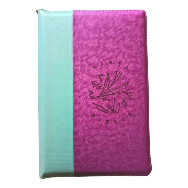 Biblia Reina Valera 1960 Letra Gigante 14 Puntos Morado