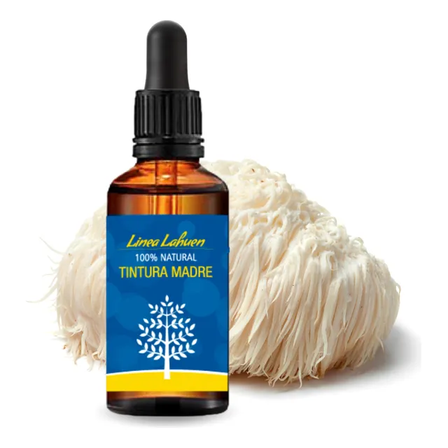 Melena Leon Tintura Madre 3 Unidades (150ml Total)