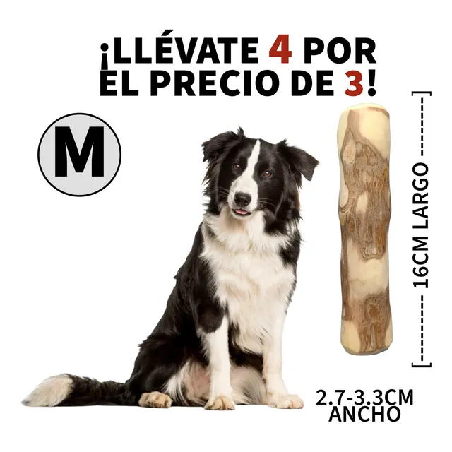 Kit 3 Palos De Café Perro M