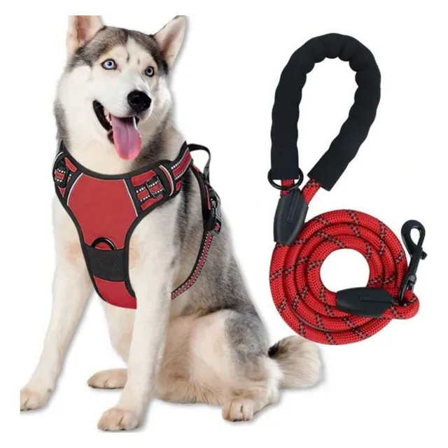 Pecheras Arnes Para Mascotas (incluye Paseador)