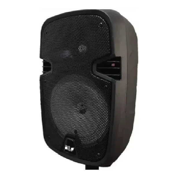 Oice Rl-306 Parlante Portatil 110-220v Bluetooth