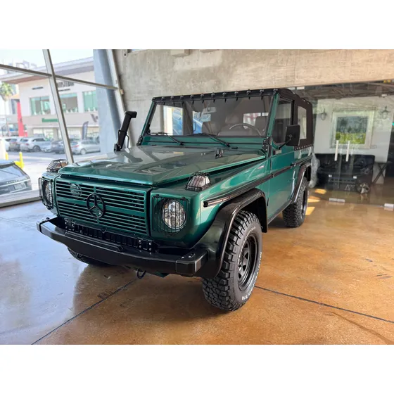 G 250 Gd 1990 Diesel Cabriolet