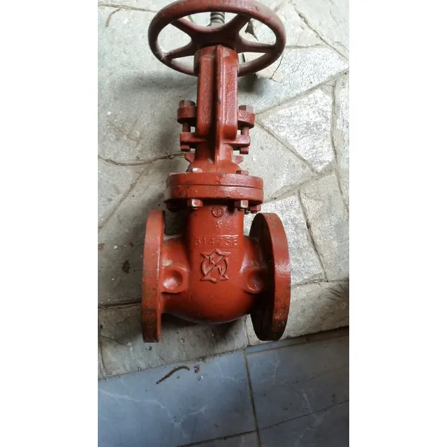 Repuestos Para Calderas Y Vapor Valvula 4  Compuerta Brida