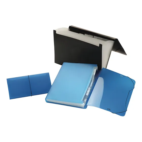 Carpeta Organizador Porta Documentos Oficio C 13 Divisiones