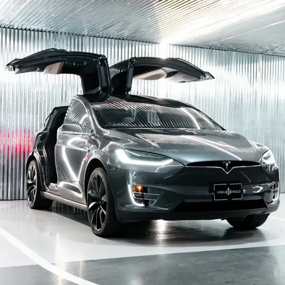 Tesla Model X 2021 Long Range Plus
