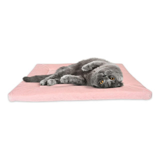 La Cama Pequeña Para Gato Pet Dreams Es La Original... La Cama Pequeña Para Gato Pet Dreams Es La Original...