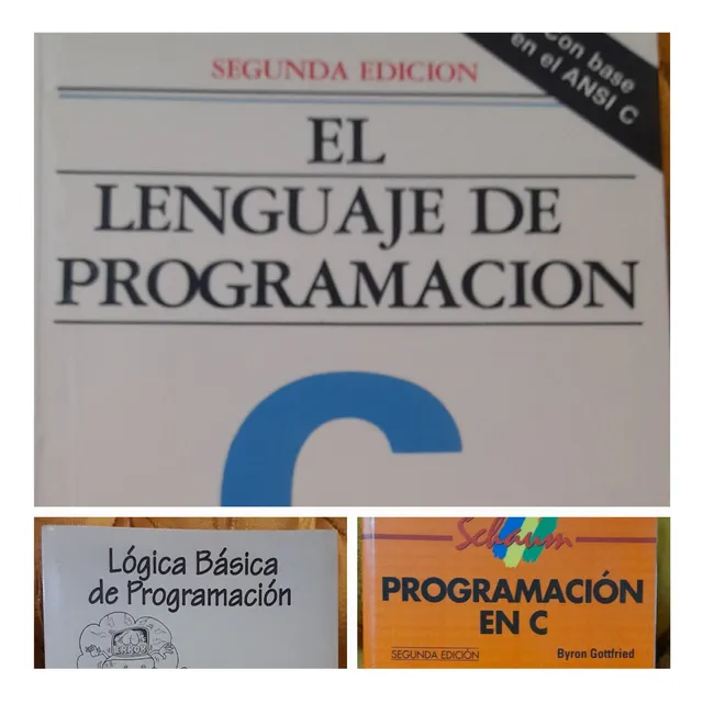 Libros De Programación En C Y Lógica Matemática Nuevos!