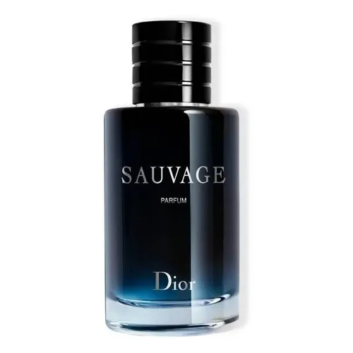 Spray Bleu De Chanel 100ml Masculino | MercadoLivre