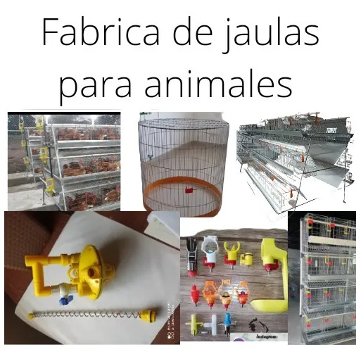 Fabricamos Jaulas Para Gallinas . Gallos.. Conejos Codornice