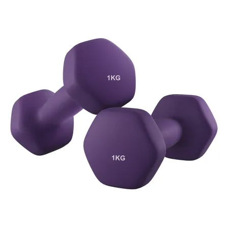 Par De Halteres Emborrachados 1kg Rosa Musculação Feminina Roxo
