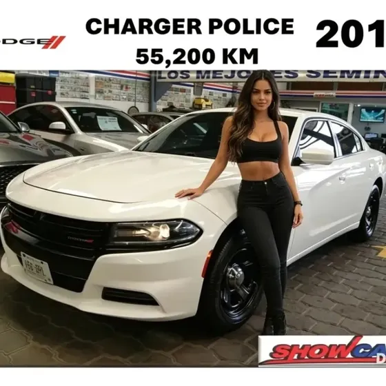 Dodge Charger 2019 3.6 V6 Police At
