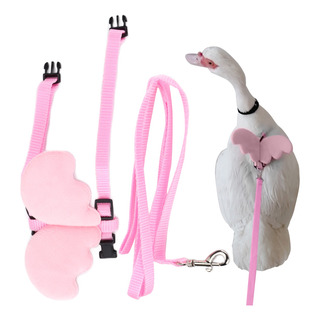 Arnés Y Correa De Nylon Para Pato O Pollo Mascota Arnés Y Correa De Nylon Para Pato O Pollo Mascota