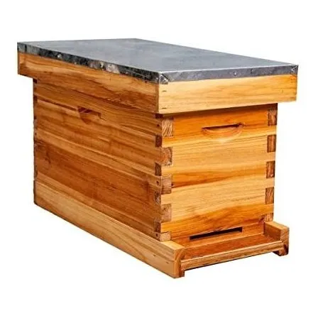 5-frame Nuc Colmena De Abejas Completa La Colmena De La Caja