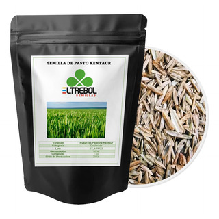 Semilla De Pasto Forrajero Rye Grass Var. Kentaur (1 Kg) Semilla De Pasto Forrajero Rye Grass Var. Kentaur (1 Kg)