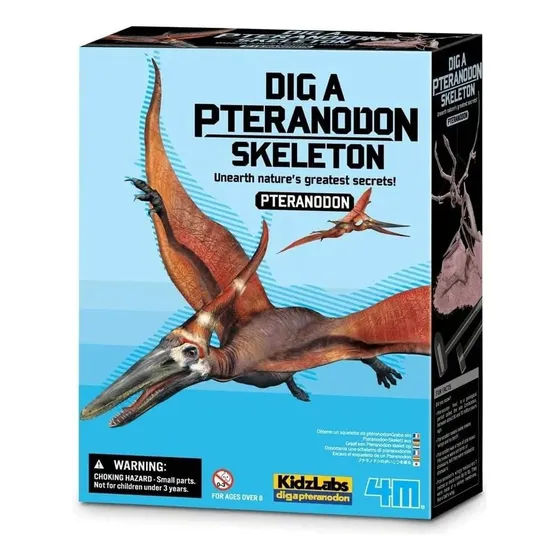 Esqueleto Dinosaurio - Pteranodon - Marca: 4m - Niños Niñas