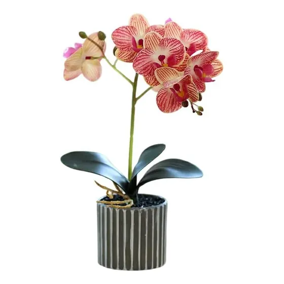 Arreglo Orquídeas Artificiales Decoración 43 Cm