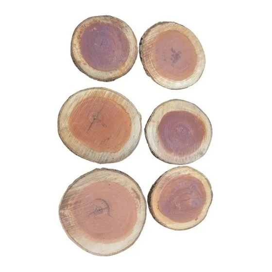 Rodaja De Madera Quebracho Para Camino Jardín. 