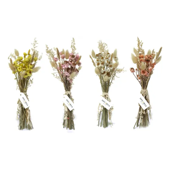 Ramo Flores Secas Preservadas Natural Margarita Deco Color Crudo