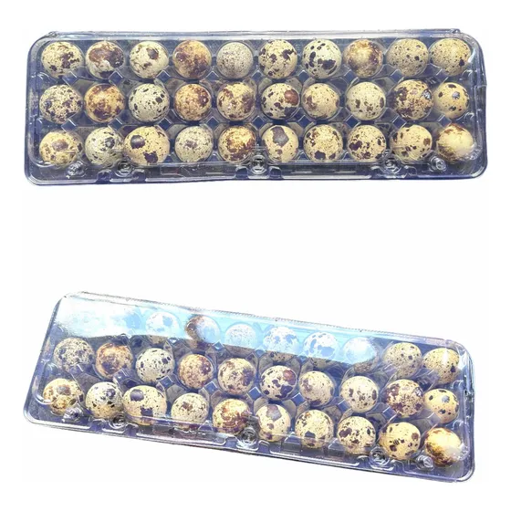 Embalagem Bandeja Para 30 Trinta Ovos De Codorna 100 Unid Cor Transparente