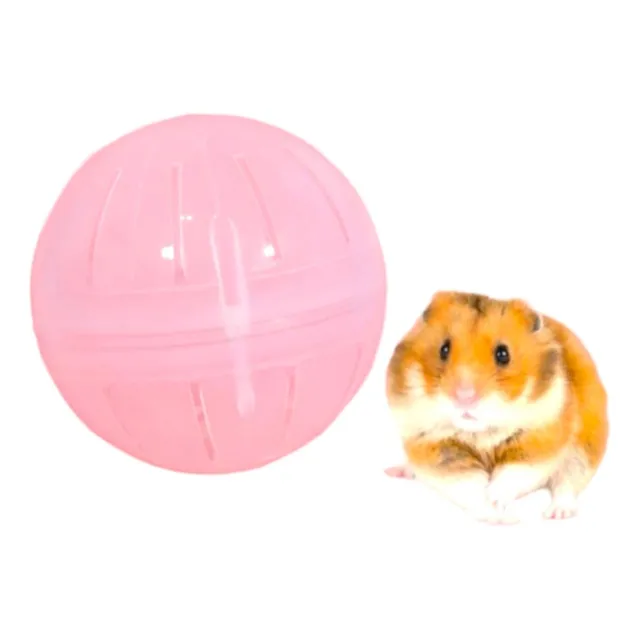 Ruedas O Esferas Para Hamster