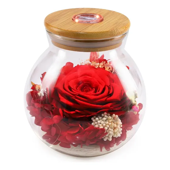 Botella Deseo Floral Rosa Roja Preservada Luz Luna San