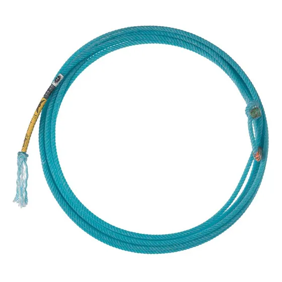 Cuerda De Equipo Principal De 9.75 Metros, Color Azul