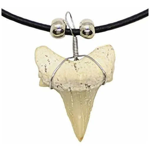 Collar De Dientes De Tiburón Reales Para Hombres, Niñ...