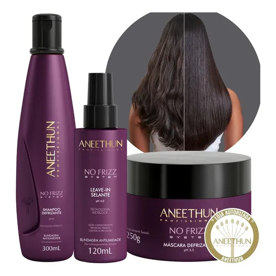 Kit Disciplinante No Frizz Aneethun 3 Produtos Frizz Zero