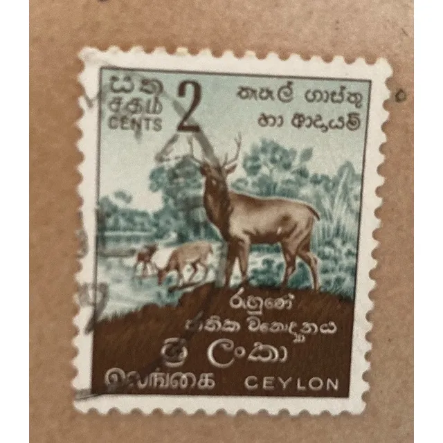 Estampillas Sir Lanka - Ceilan 1951 - Fauna Nacional