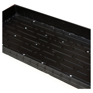 Charola Para Forraje 210gr. / 5 Pzs 53 X 27 X 4.6 Cm Charola Para Forraje 210gr. / 5 Pzs 53 X 27 X 4.6 Cm