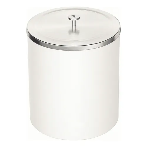 Lixeira Em Inox C/pedal E Tampa Com Amortecedor Descida 5 L Cor